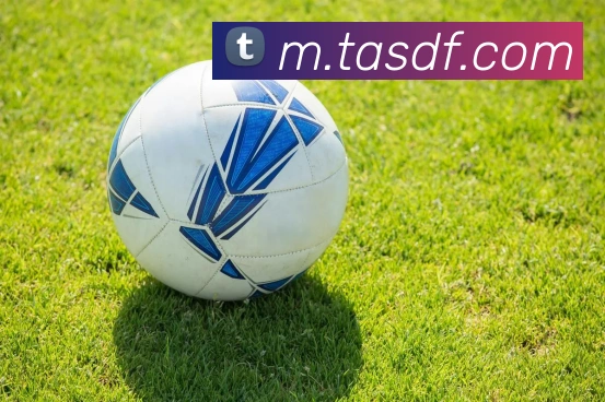 巅峰国际平台生态图