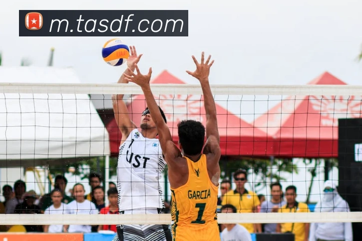 巅峰国际全站App